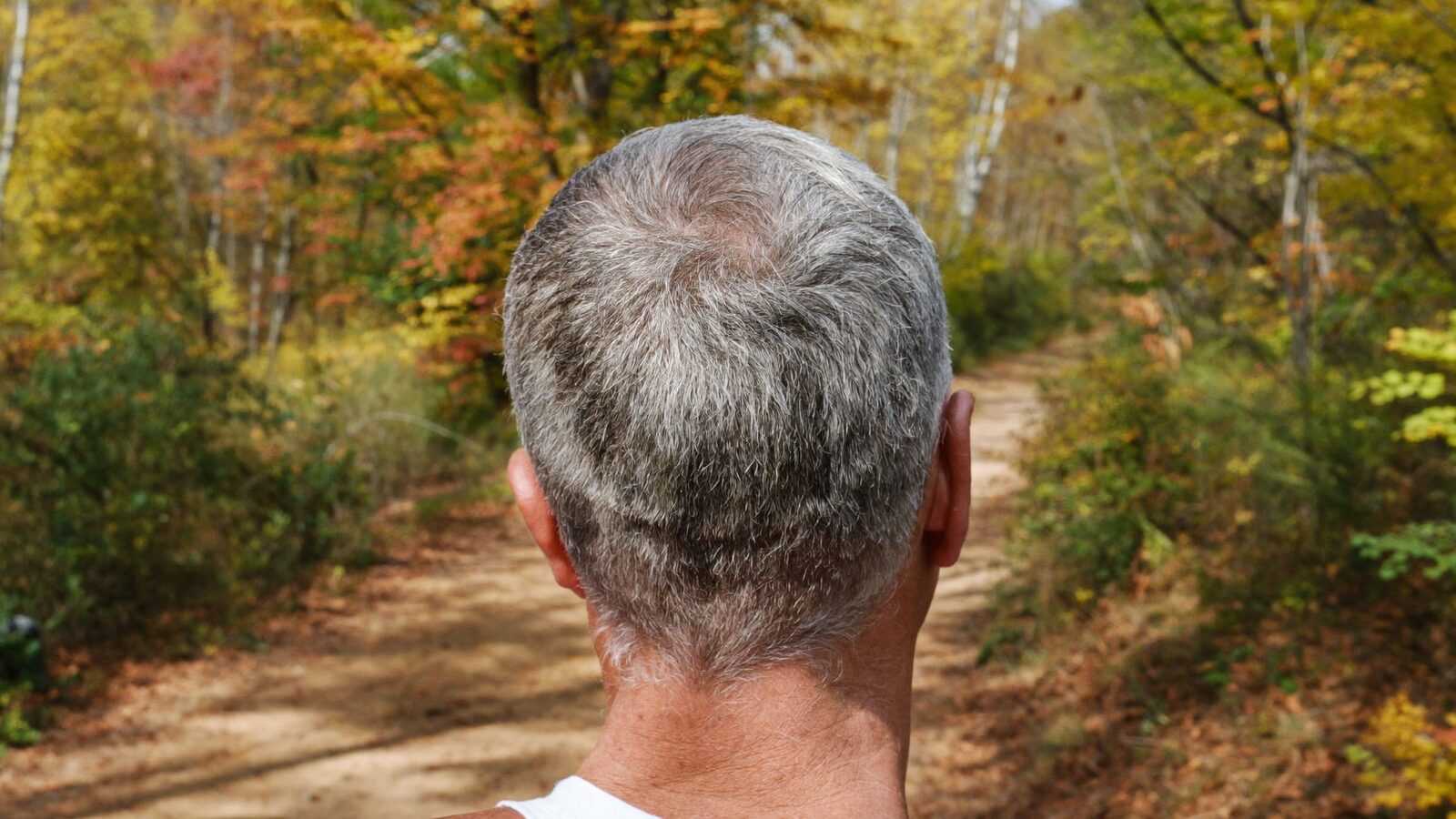 Man in his 50s with full salt-and-pepper hair hiking a forest trail in autumn, seen from behind